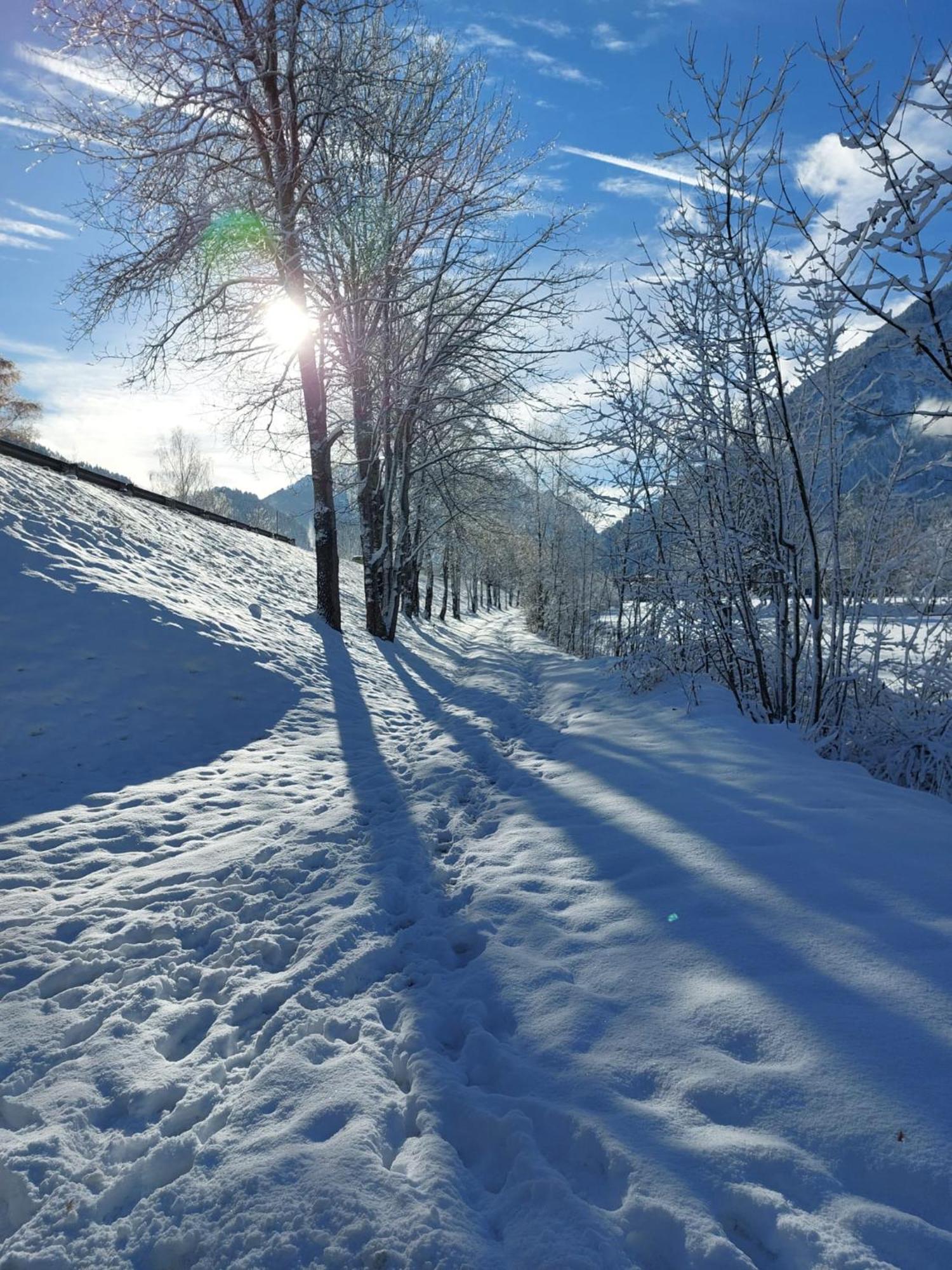 Alpapart Hornberg Höfen Exterior foto